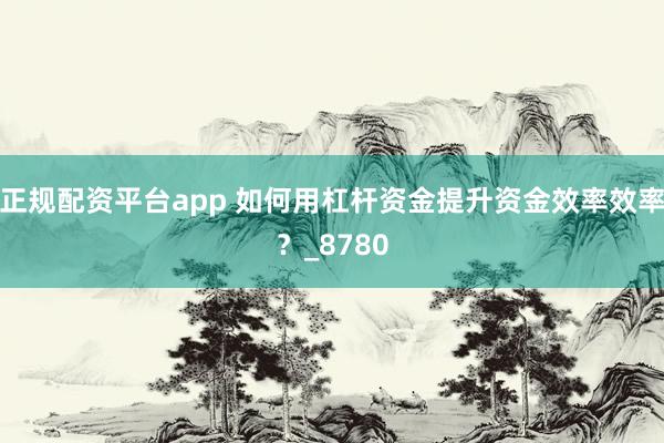 正规配资平台app 如何用杠杆资金提升资金效率效率？_8780