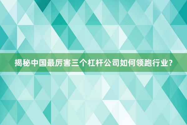 揭秘中国最厉害三个杠杆公司如何领跑行业？